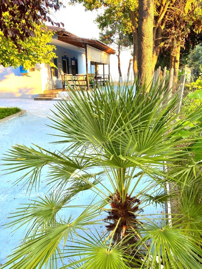Villa Palma Alexandrupoli Exteriér fotografie