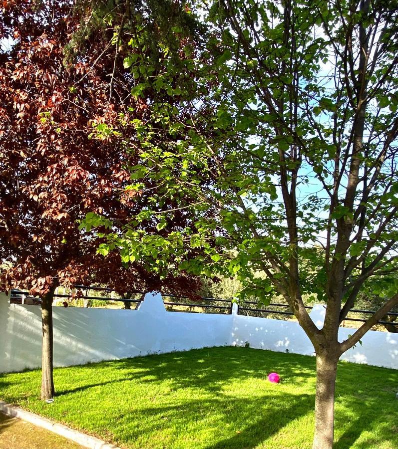 Villa Palma Alexandrupoli Exteriér fotografie